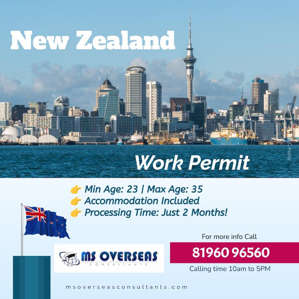 new Zealand wok permit
