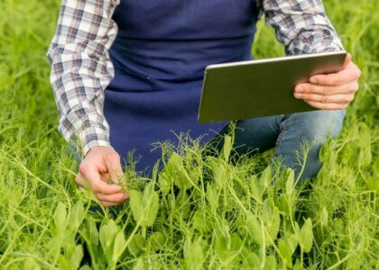 Career Growth in Australian Agriculture