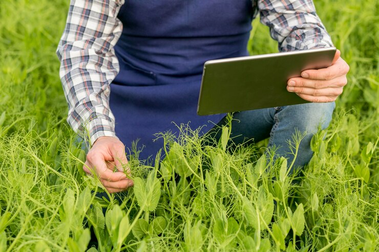 Career Growth in Australian Agriculture