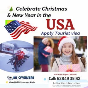 celebrate-christmas-and-new-year-in-usa